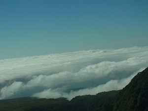 20130129-rimg0596.jpg 20130129-rimg0596.jpg