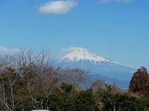 20130315-2.jpg 20130315-2.jpg