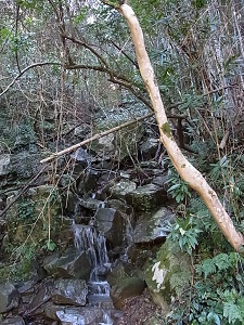 20130401-12.jpg 20130401-12.jpg