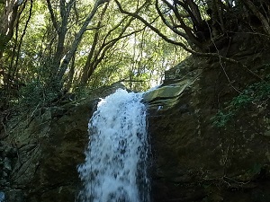 20130401-15.jpg 20130401-15.jpg