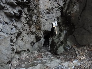 20130401-4.jpg 20130401-4.jpg