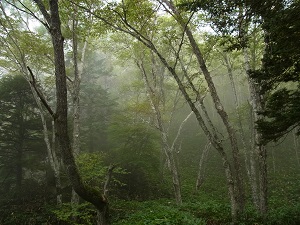 20131119-001.jpg 20131119-001.jpg
