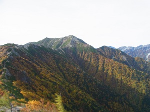 20131119-005.jpg 20131119-005.jpg